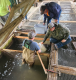 $50,000 Grant Casts Big Future For Glendale Sportsmen’s Association Trout Hatchery In Irvona