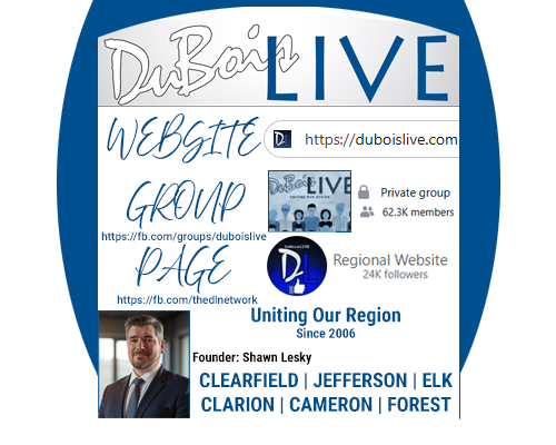 explanatory graphic dl